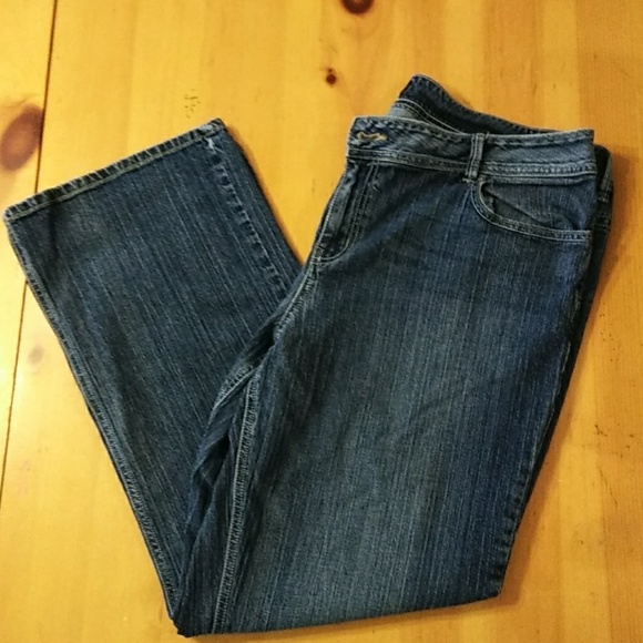 Cato Denim - NWOT Cato premium denim bootcut medium wash 20W